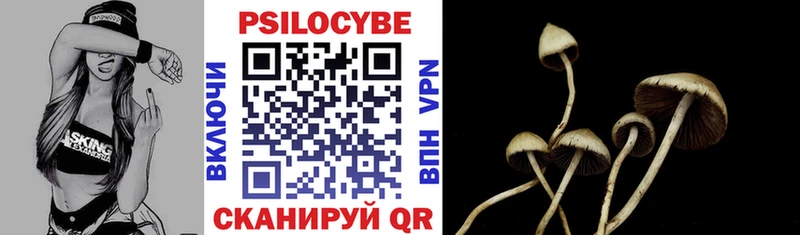 Купить где  Красный Сулин  Галлюциногенные грибы мухоморы 